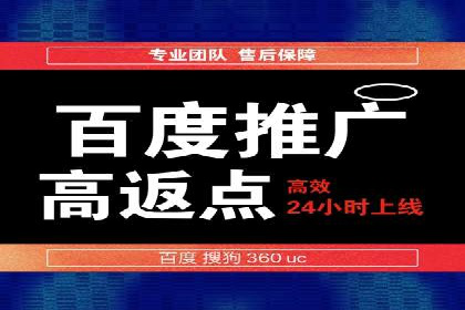 百度推广实战：成功案例解析